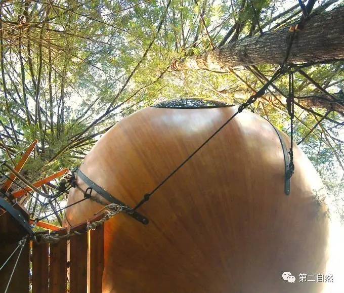 最新弹弓架体验，与自然美景的轻松之旅