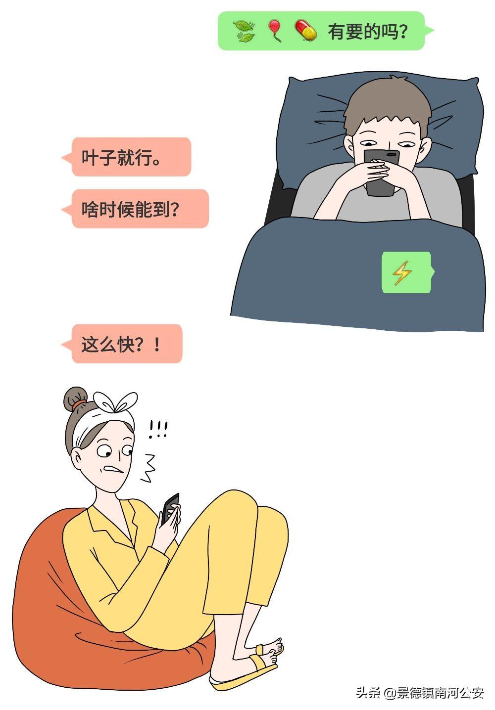 揭秘叶子最新暗语，深度探讨与理解