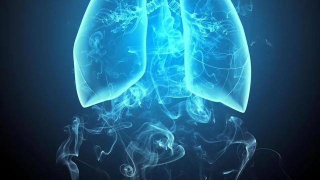 初学者与进阶用户指南，如何了解并维护肺部健康最新资讯与肺情更新
