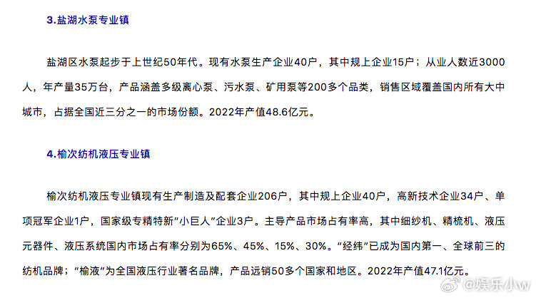 最新专业镇的双刃剑效应发展分析