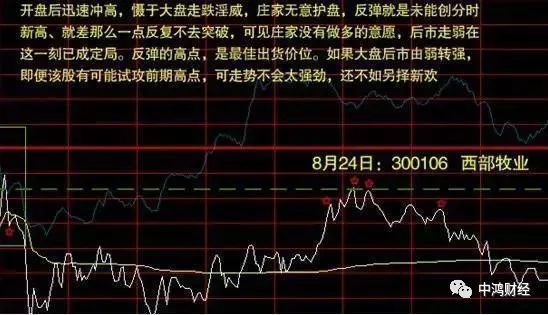 最新股市图背后的故事揭秘，股市动态与温馨故事交织呈现