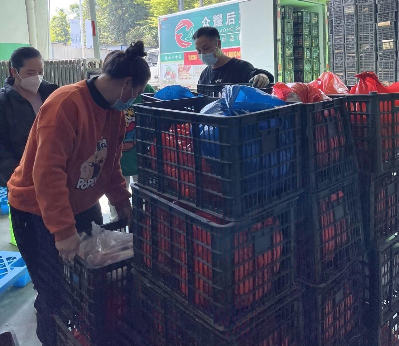 美国肺炎最新数据与巷弄深处的独特小店探秘