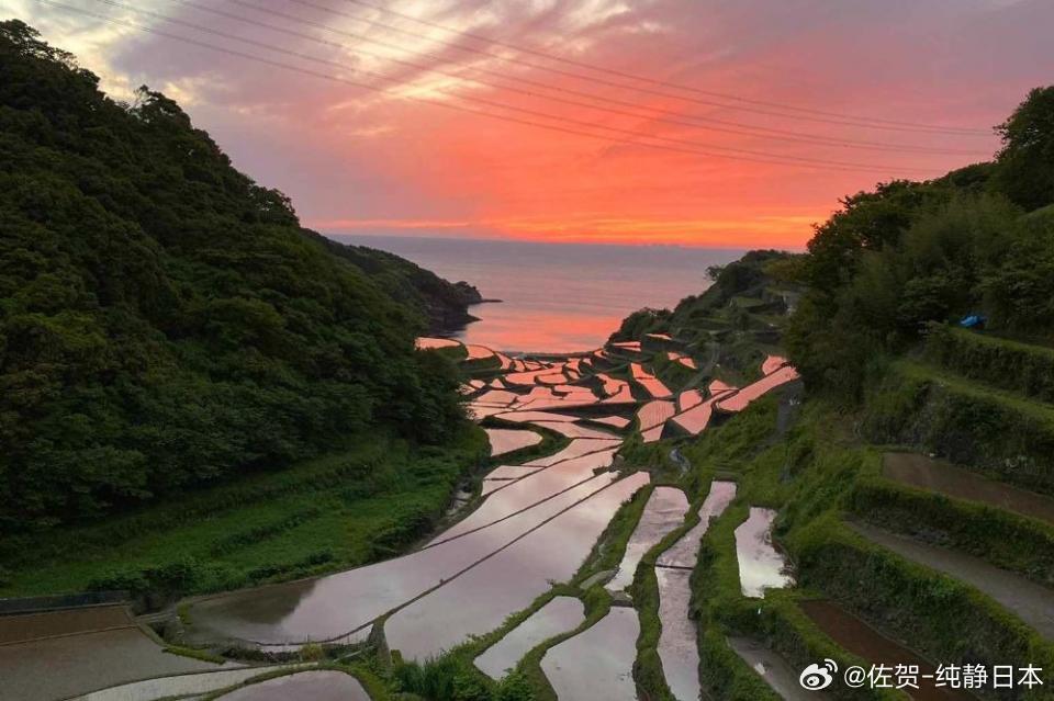 片平茜最新，自然美景的探索之旅