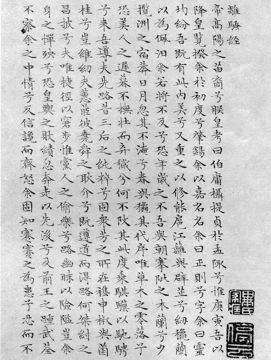 最新公文网，自然美景之旅，探寻内心平和宁静的起点