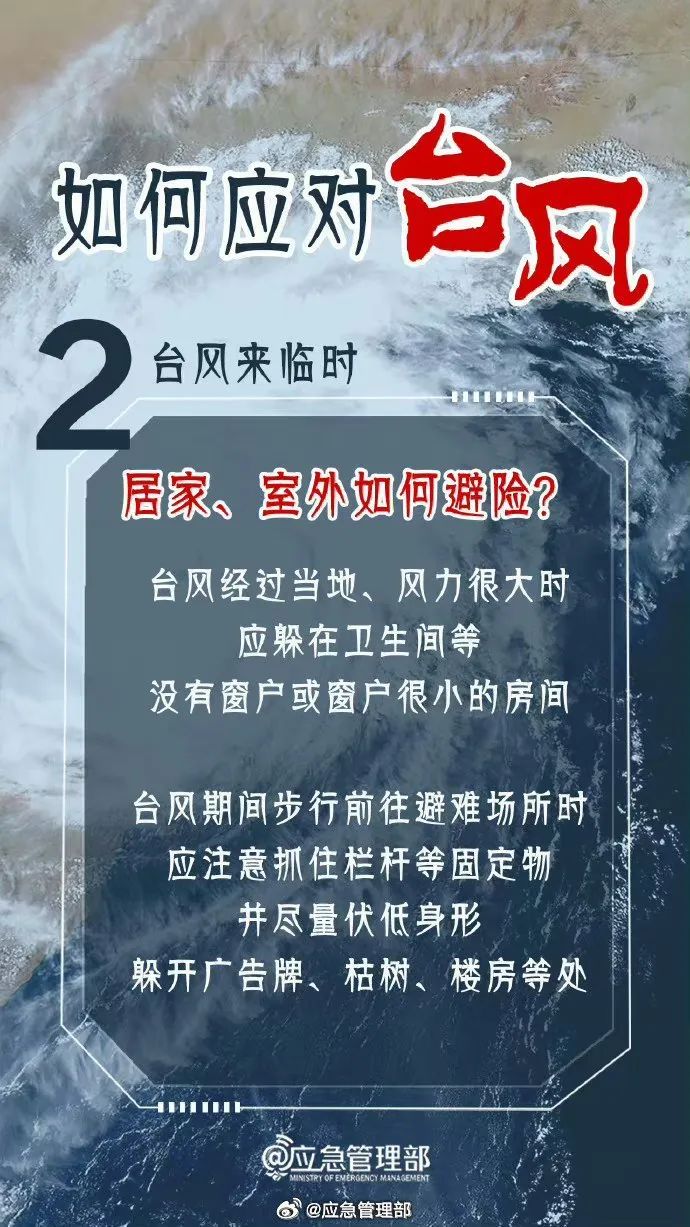 山东省情的最新变化，魅力与无限可能性