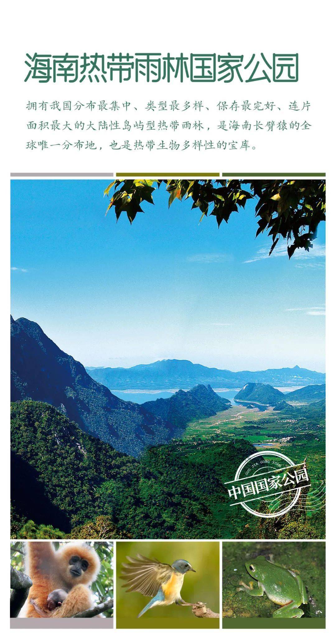 美国最新日晴，自然美景的探索之旅